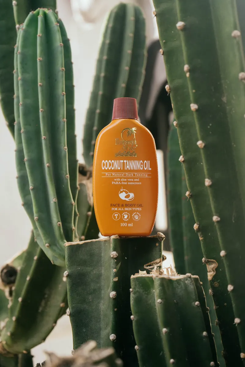 Hawaiian Style Coconut Tanning Oil standing among cactus plants